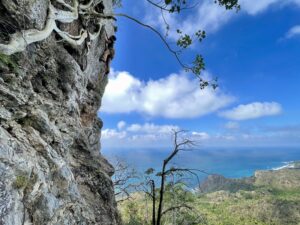 Rock Climbing Monkey Mountain, Sayulita